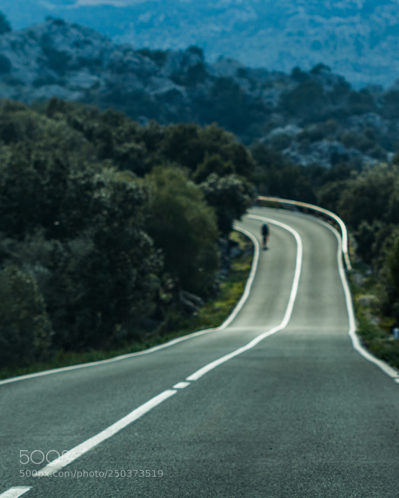 Canon EOS 700D (EOS Rebel T5i / EOS Kiss X7i) sample photo. Long roads photography
