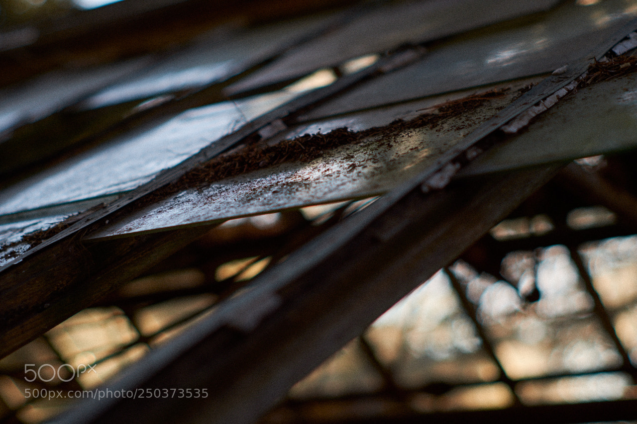 Fujifilm X-Pro2 sample photo. Old greenhouse photography