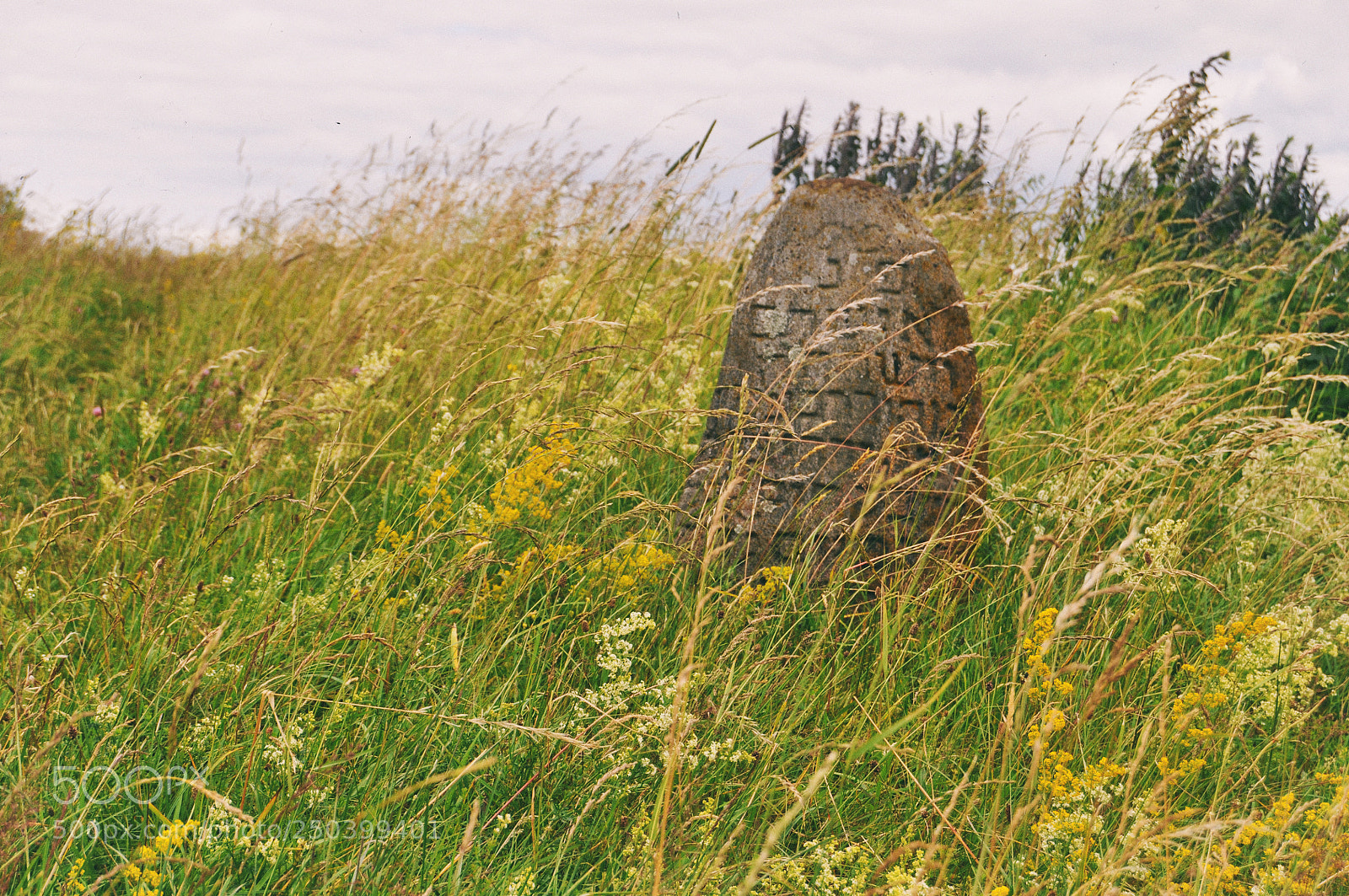 Nikon D90 sample photo. Old cemetery photography