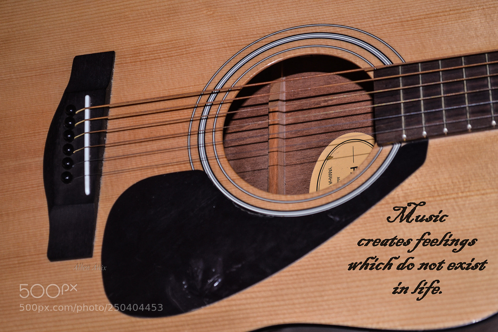 Nikon D3100 sample photo. Musical life. photography