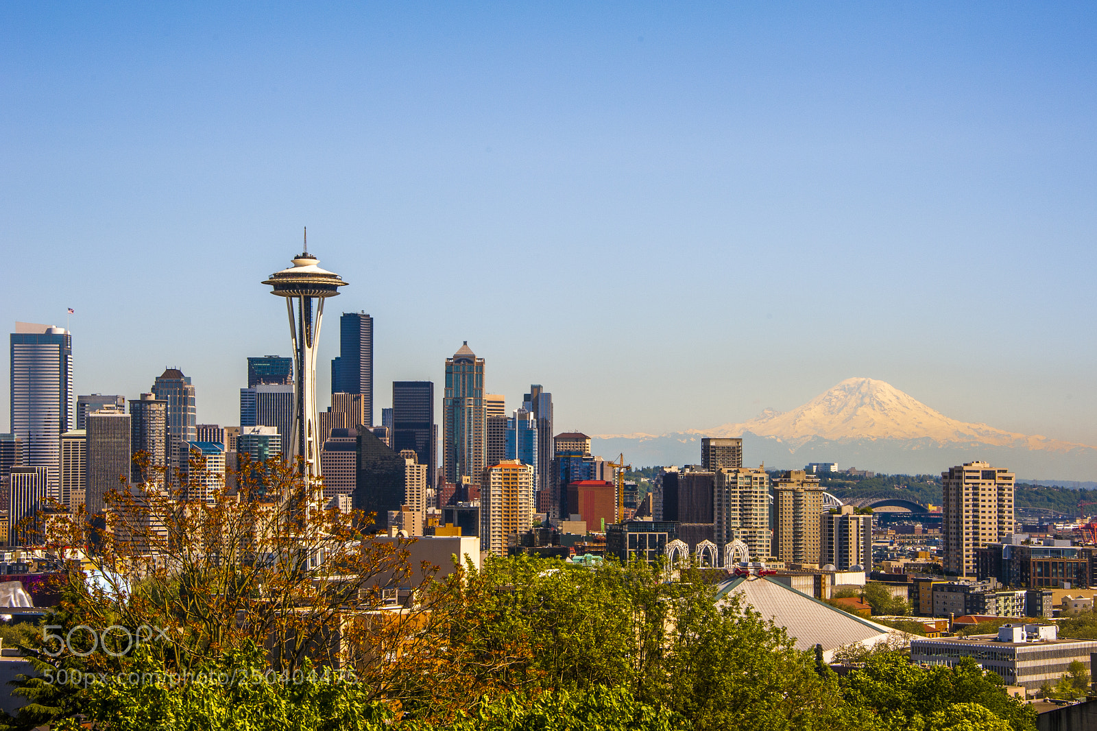 Nikon D700 sample photo. Mount rainier and downtown photography