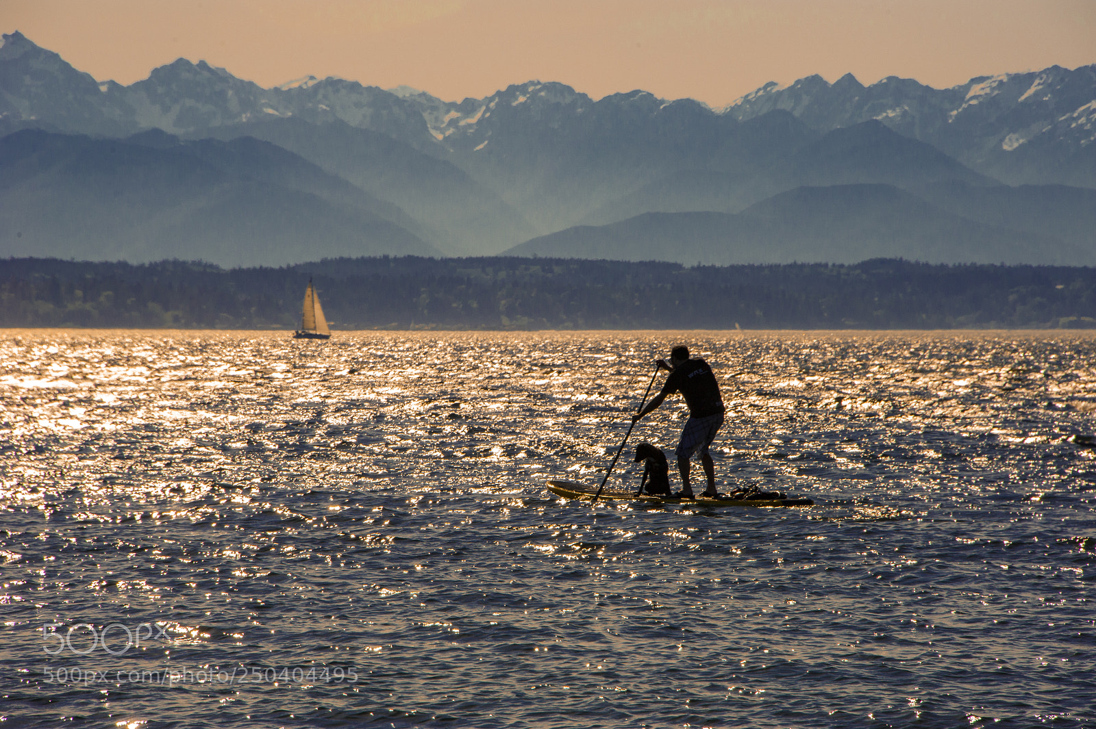 Nikon D700 sample photo. Sunset at golden gardens photography