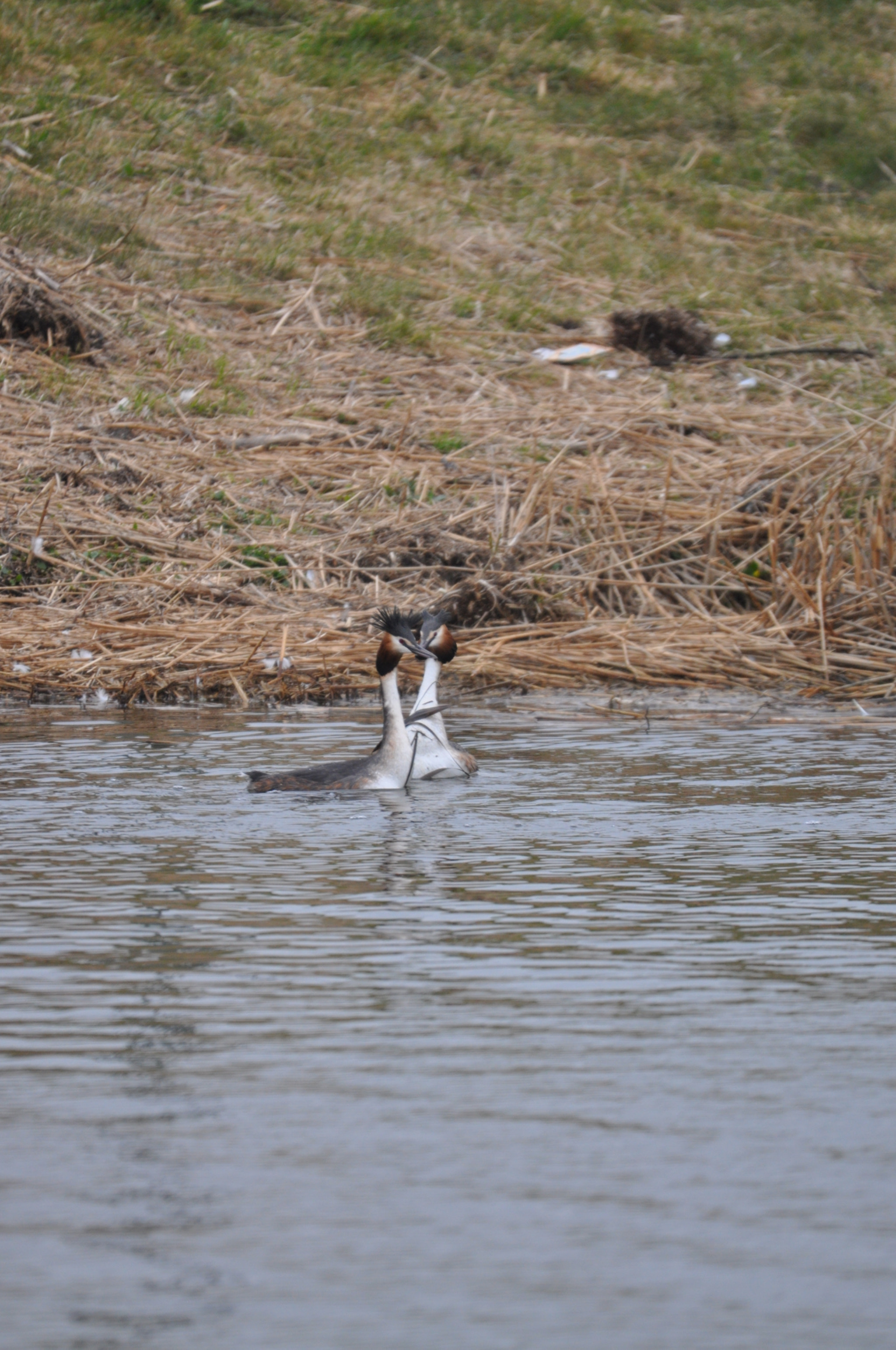 Sigma 120-400mm F4.5-5.6 DG OS HSM sample photo