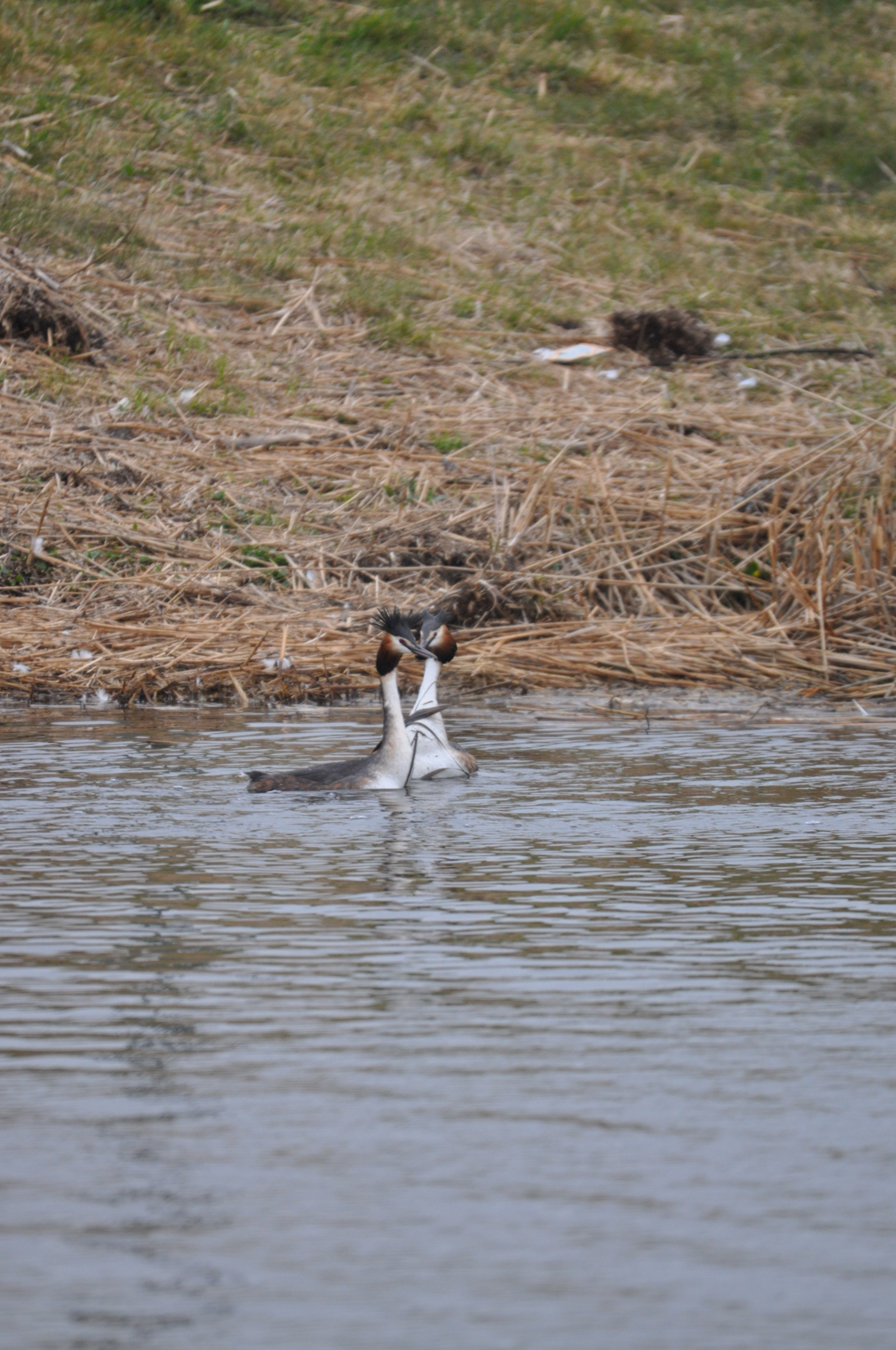 Sigma 120-400mm F4.5-5.6 DG OS HSM sample photo