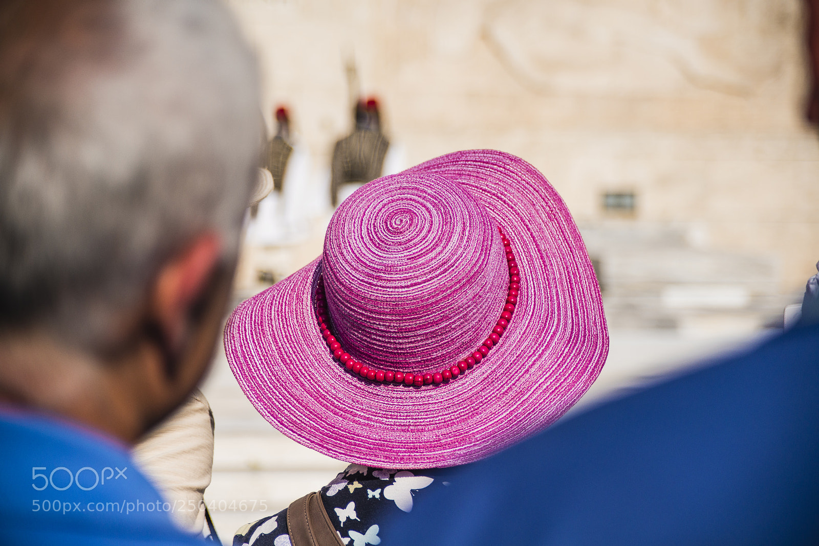 Nikon D800 sample photo. The lady with the photography