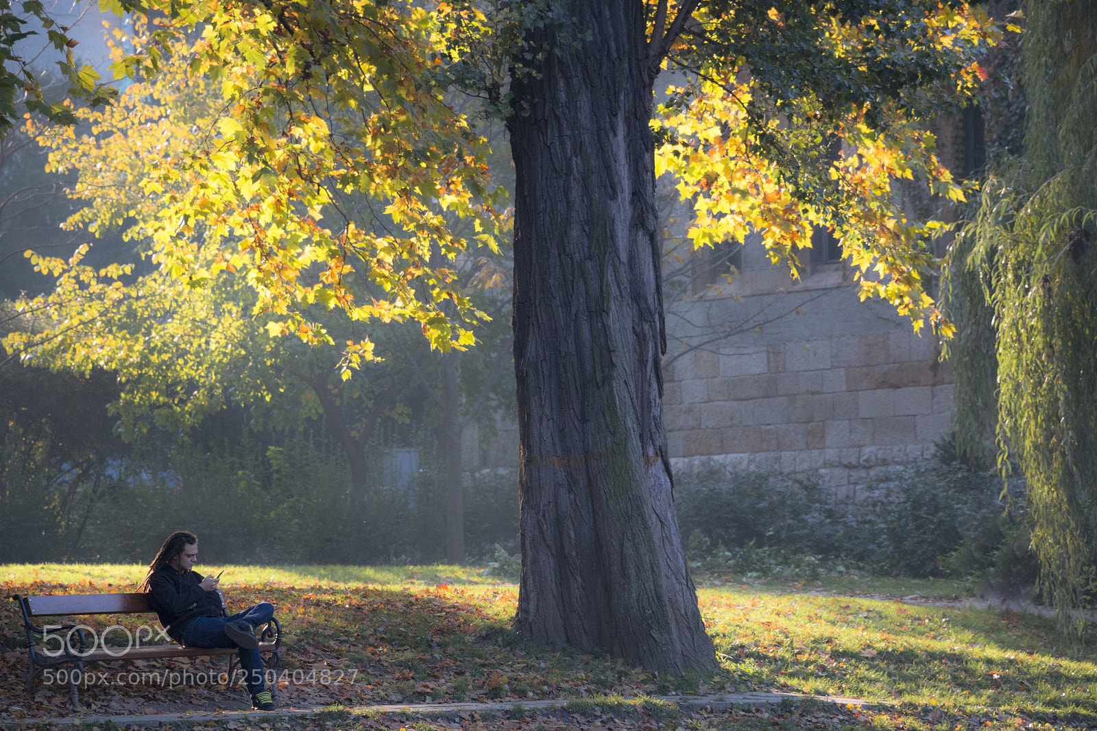Canon EOS 70D sample photo. Majestic casual () photography