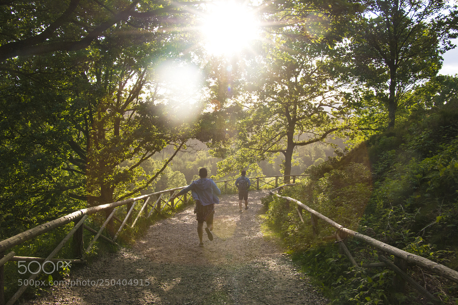 Canon EOS 70D sample photo. Majestic casual () photography