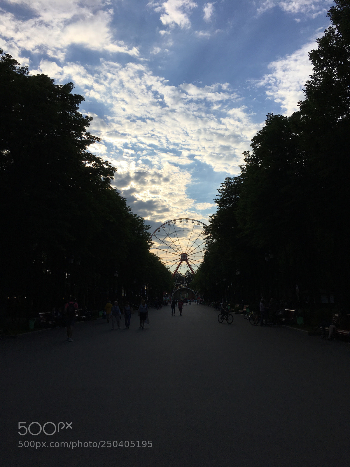 Apple iPhone SE sample photo. Untitled photography