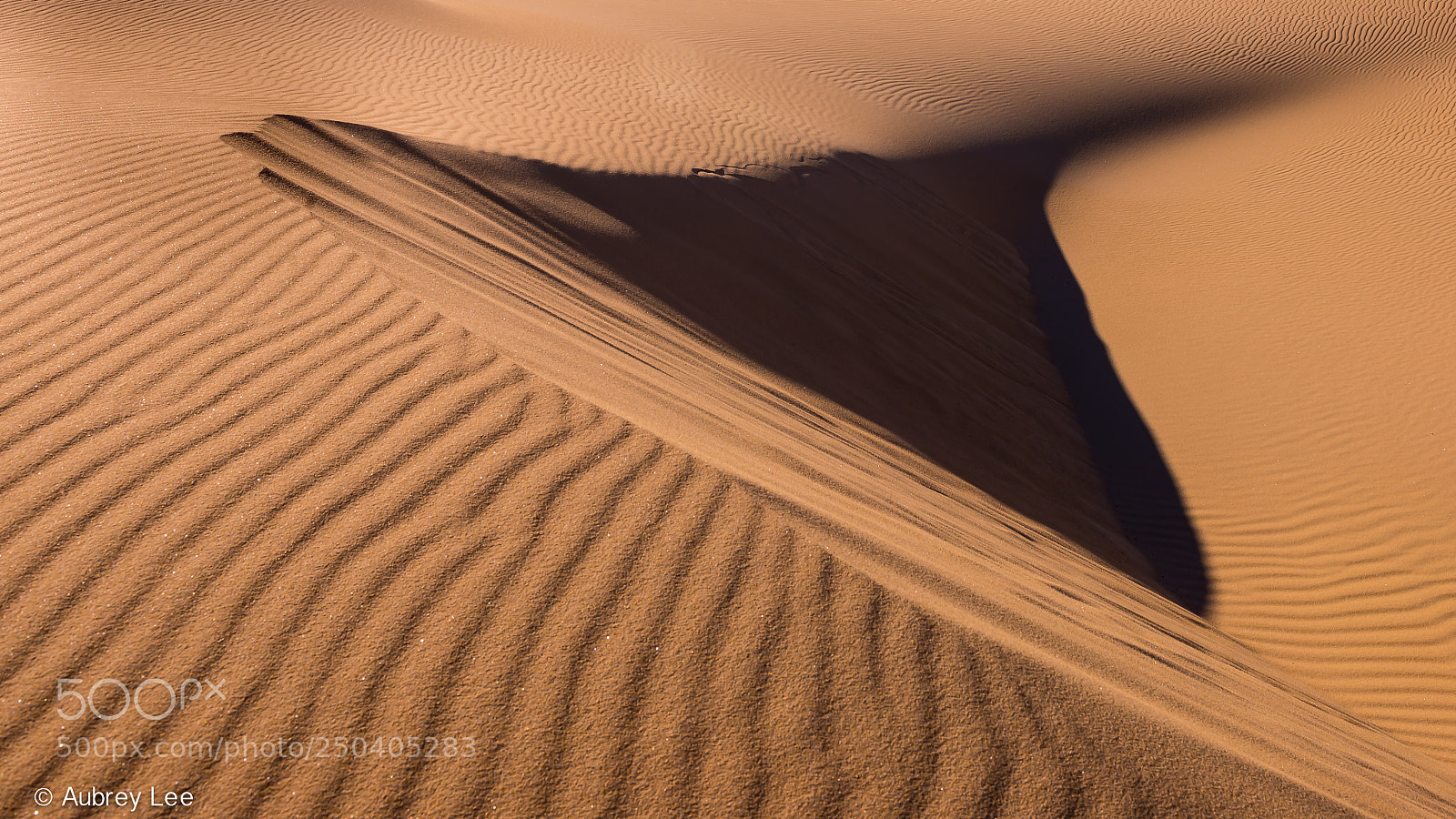 Nikon D610 sample photo. Sandpit photography