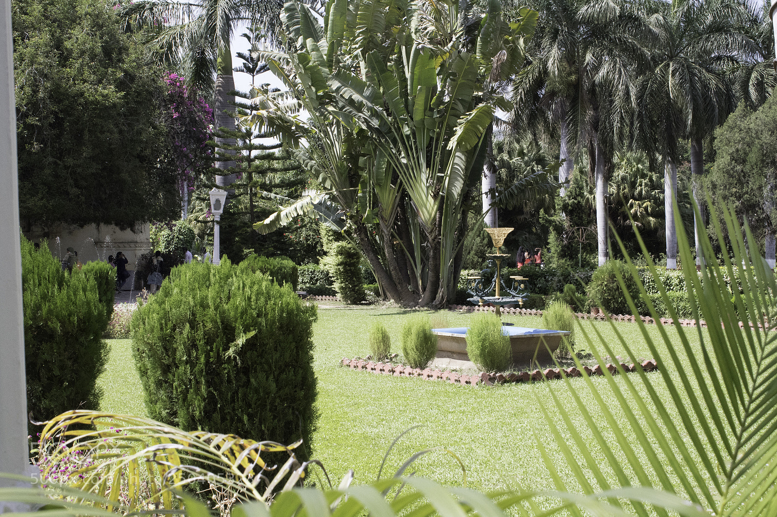 Canon EOS 1300D (EOS Rebel T6 / EOS Kiss X80) sample photo. Lush lawns photography