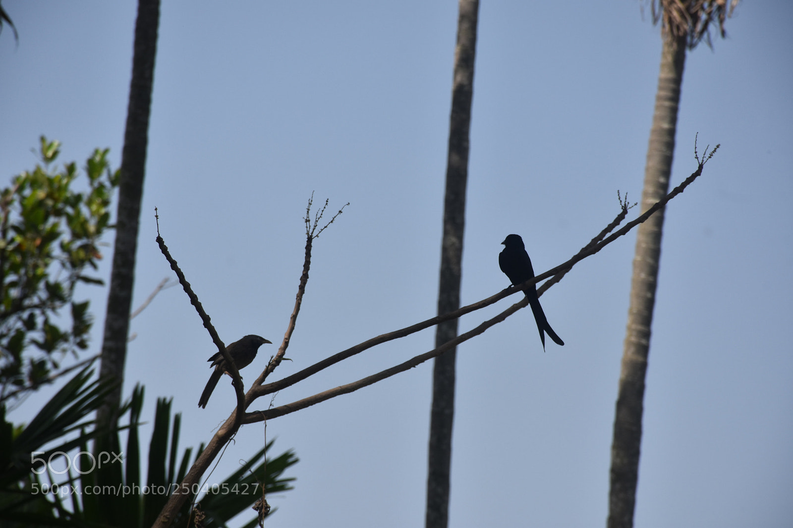 Nikon D7200 sample photo. Untitled photography