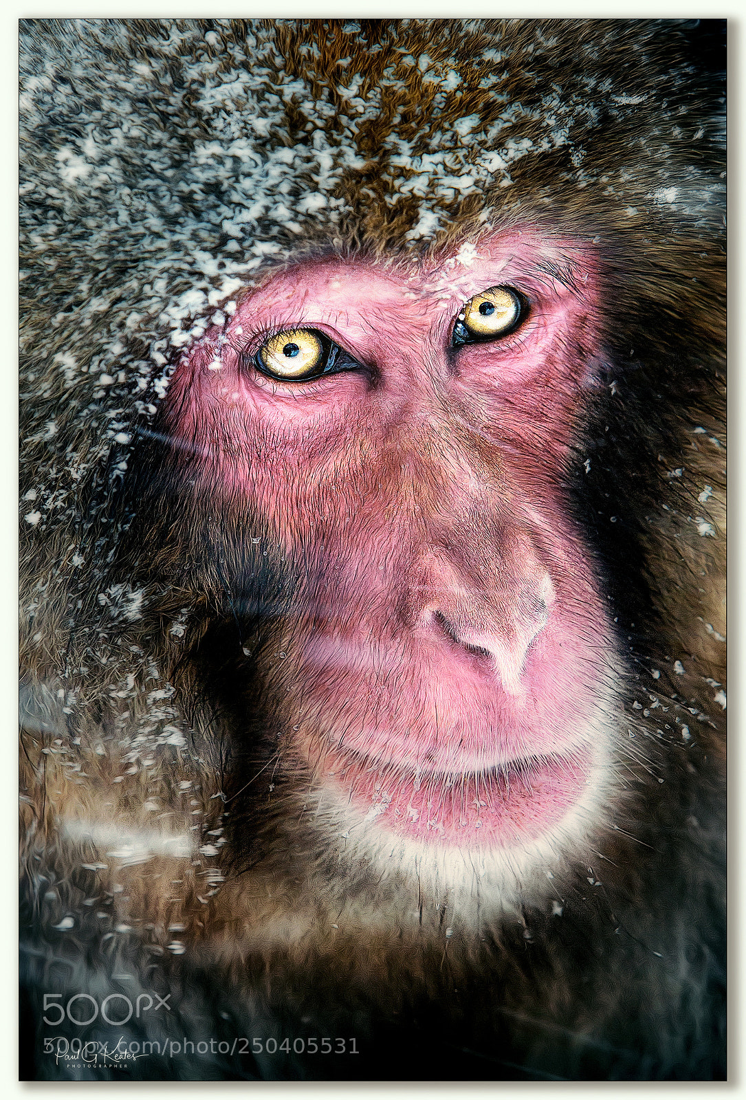 Canon EOS-1Ds Mark II sample photo. Day dreaming .... photography