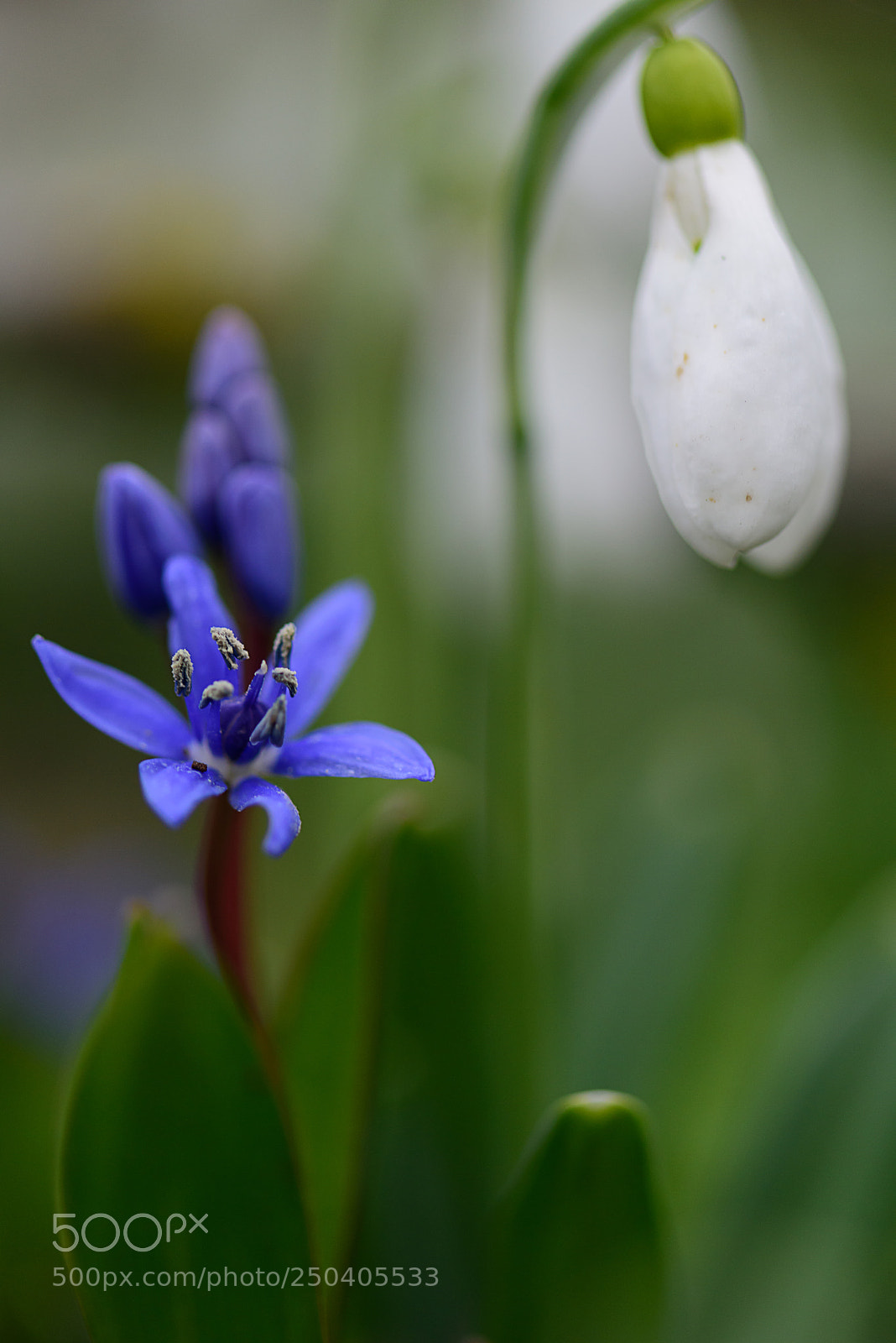 Nikon D810 sample photo. Dsc photography
