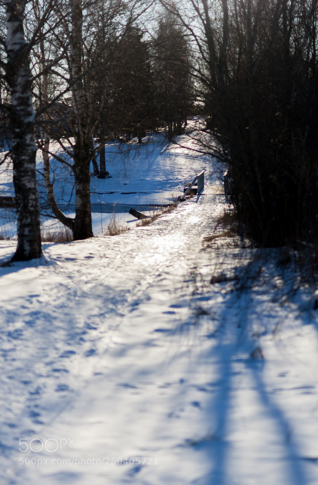 Canon EOS 5D Mark II sample photo. Riverside photography