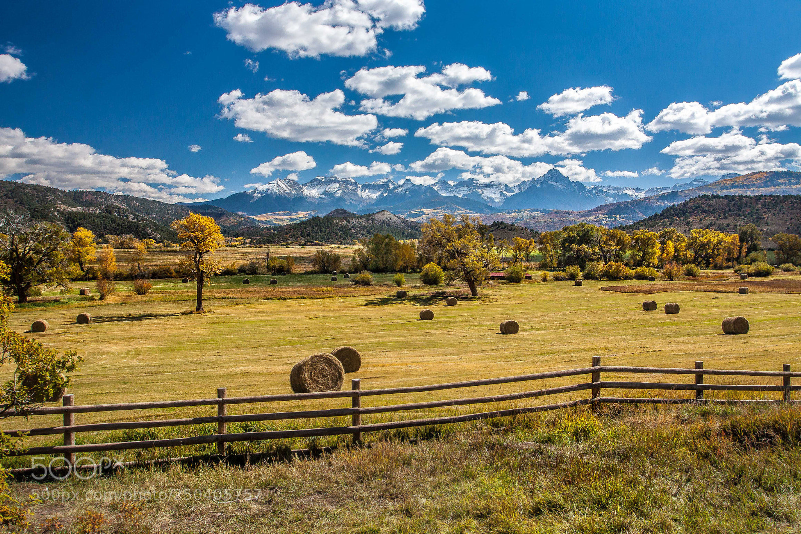 Canon EOS 50D sample photo. Beautiful colorado autumn day photography