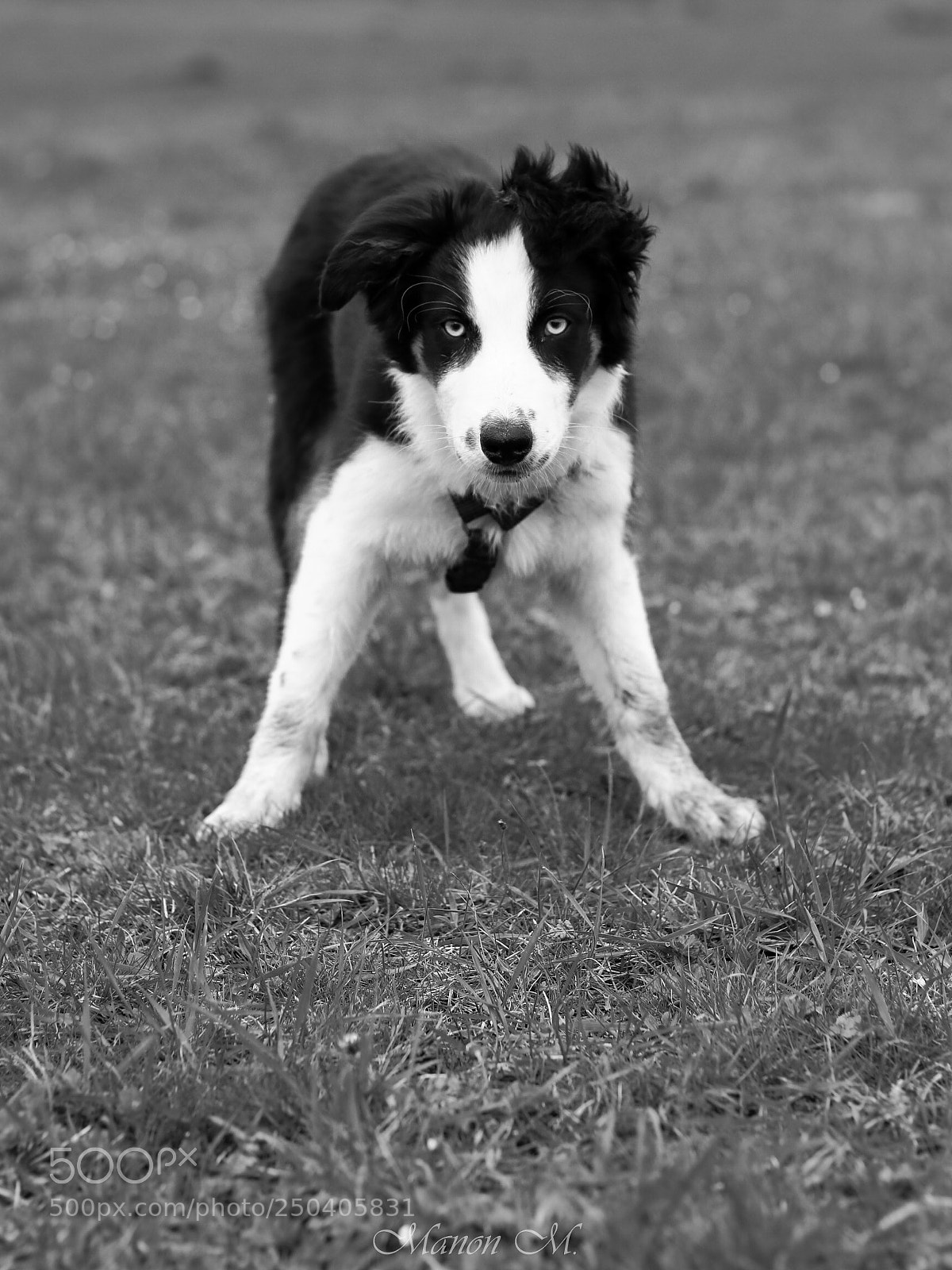 Canon EOS 750D (EOS Rebel T6i / EOS Kiss X8i) sample photo. Border black and white photography