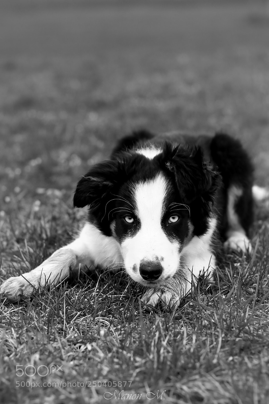 Canon EOS 750D (EOS Rebel T6i / EOS Kiss X8i) sample photo. Border black and white photography