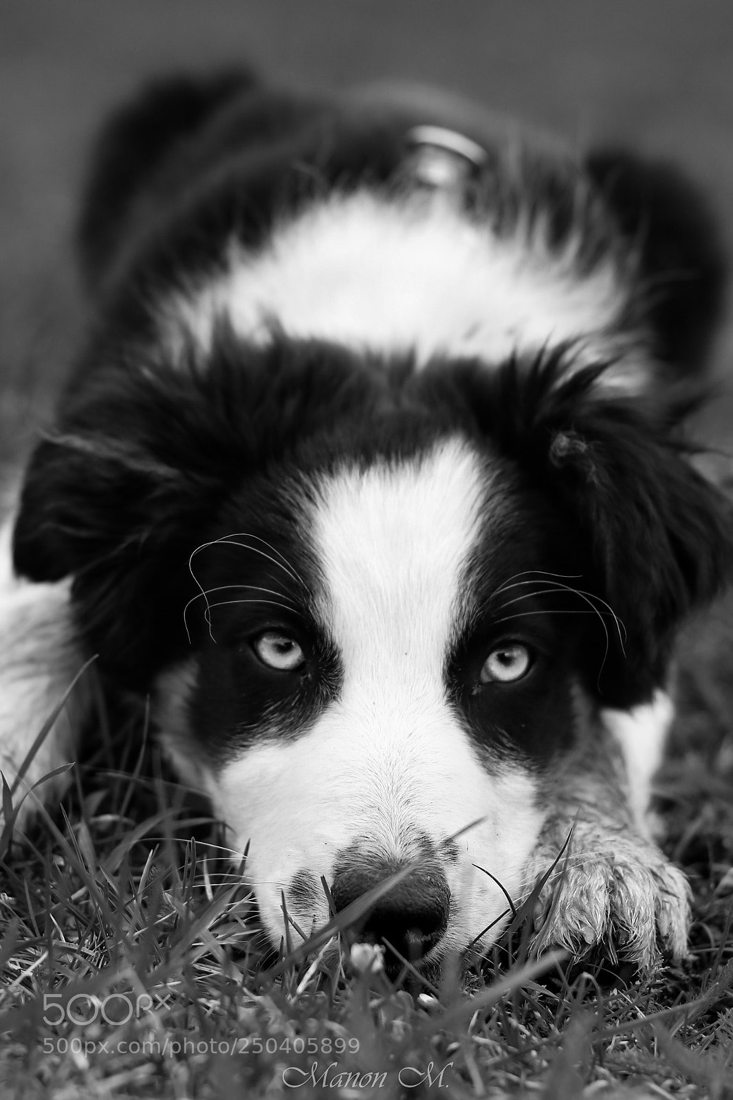 Canon EOS 750D (EOS Rebel T6i / EOS Kiss X8i) sample photo. Border black and white photography