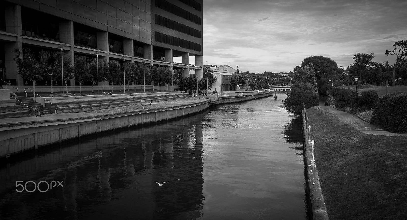 Leica X Vario sample photo. Fly passing photography