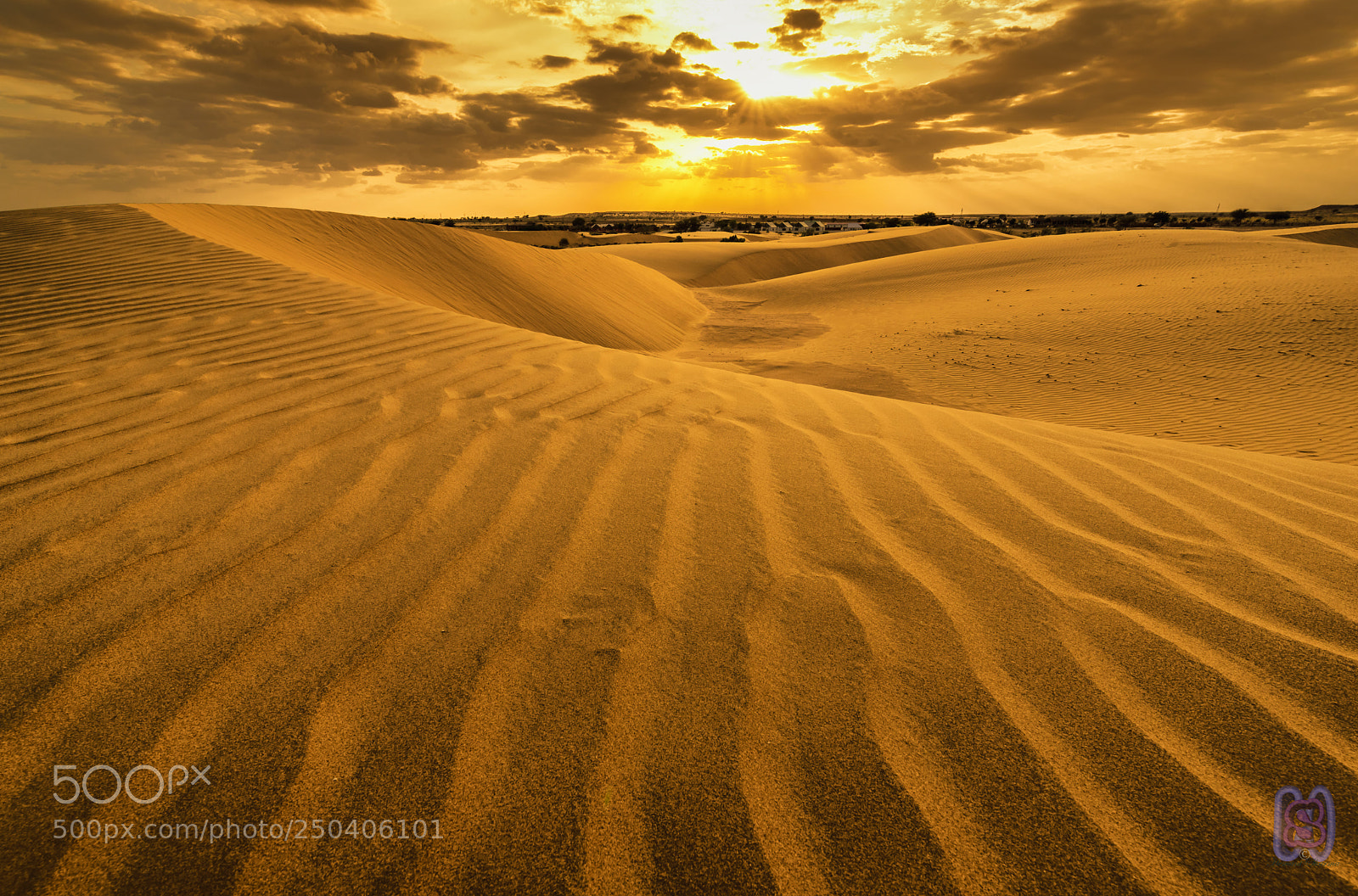Nikon D800 sample photo. The dunes of thar photography