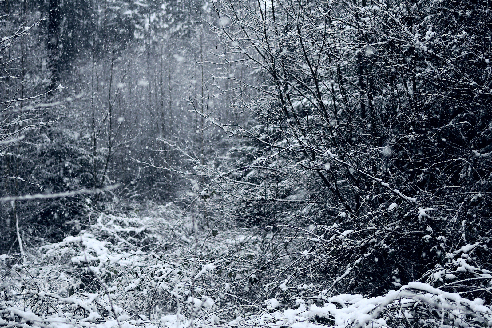 Nikon D7500 sample photo. Thick cold layers photography