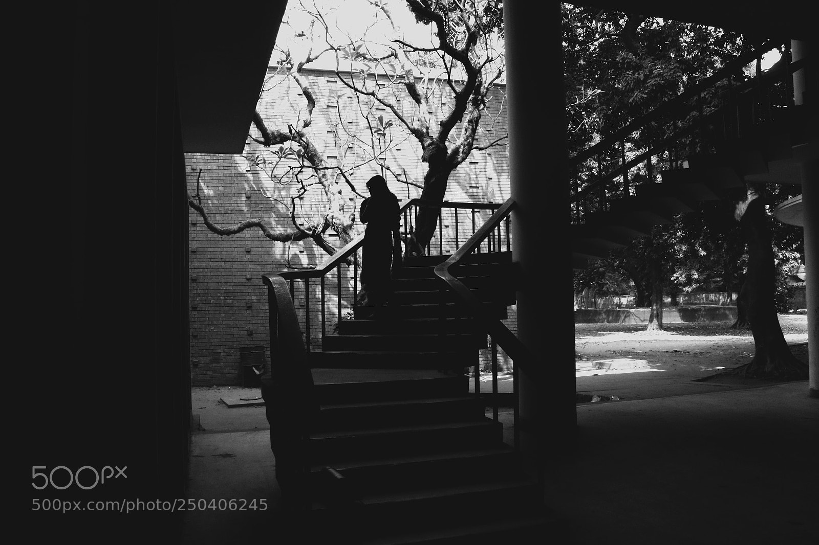 Canon EOS 7D Mark II sample photo. Shadow photography