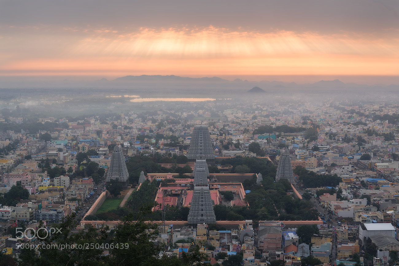 Sony a7R II sample photo. Divine light photography