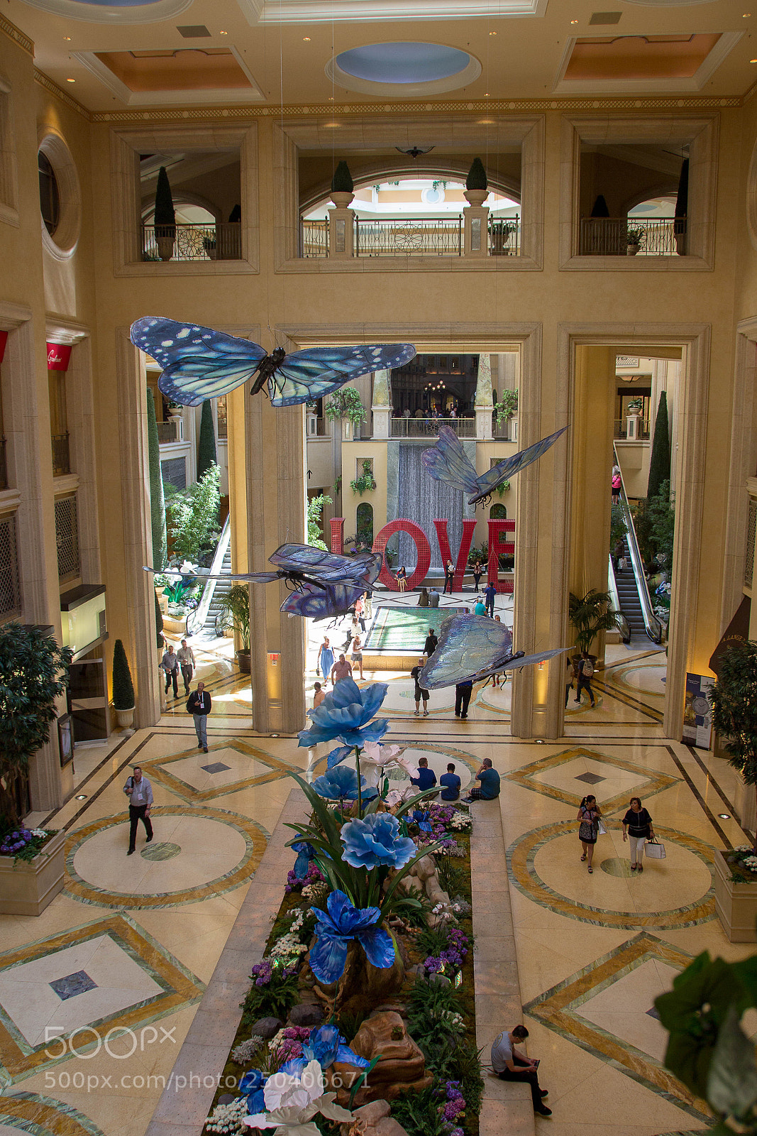 Canon EOS 600D (Rebel EOS T3i / EOS Kiss X5) sample photo. Fly to lovely vegas photography