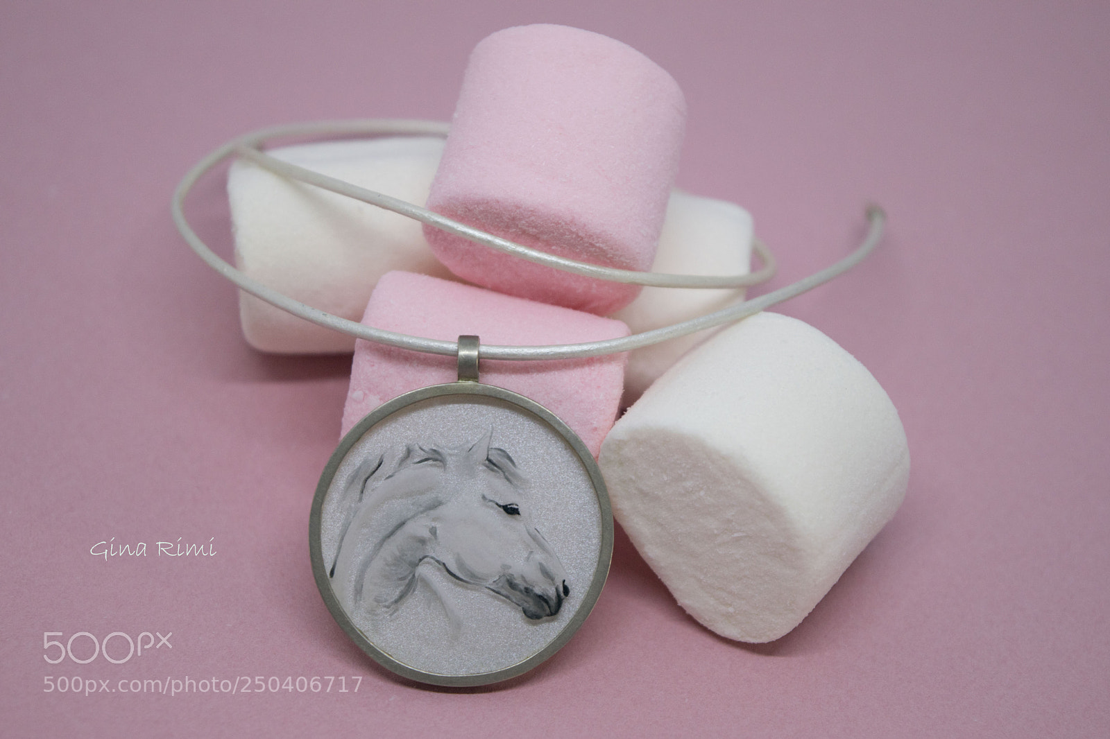 Nikon D3300 sample photo. Horse pendant photography
