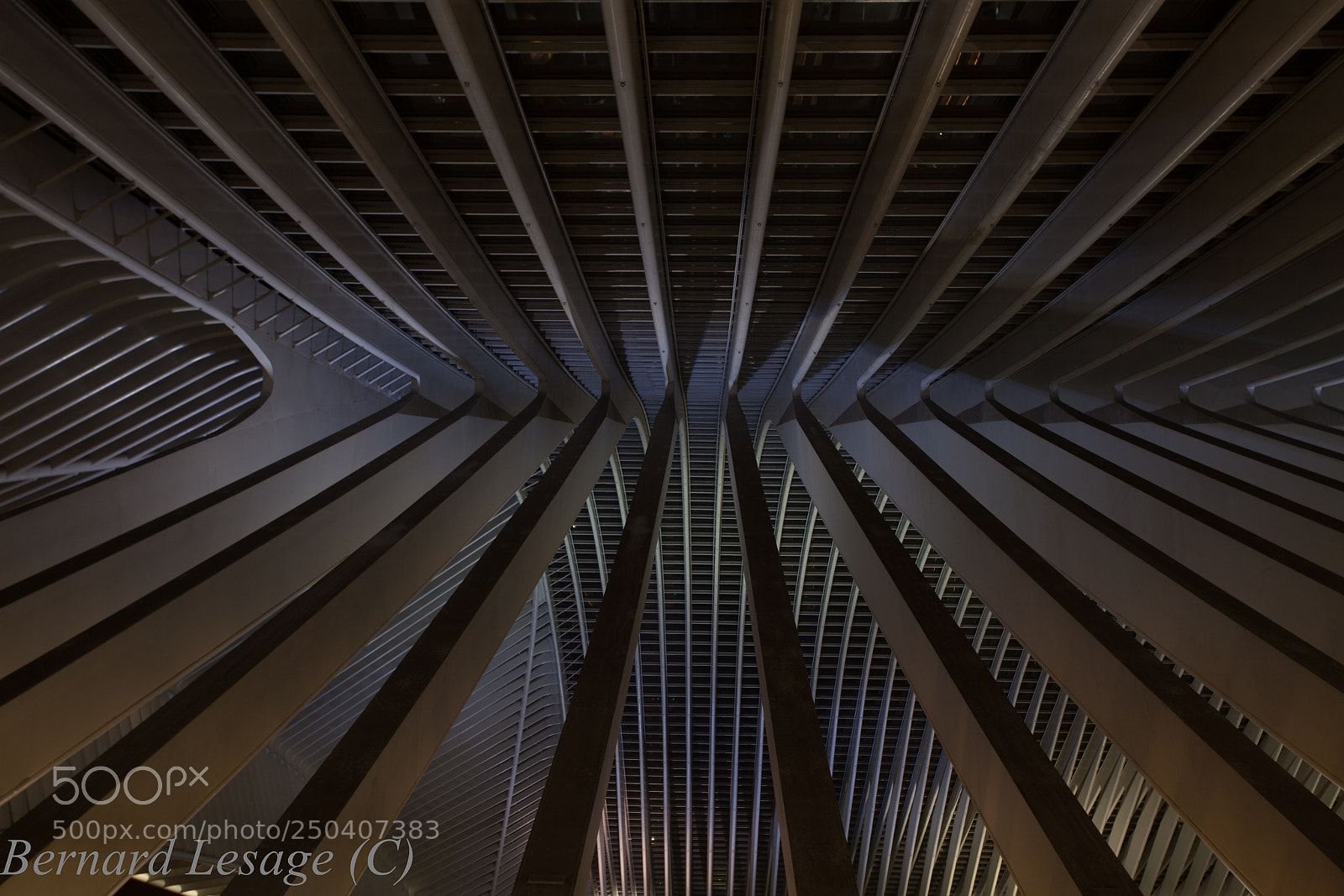 Canon EOS 5D Mark II sample photo. Liège guillemins photography