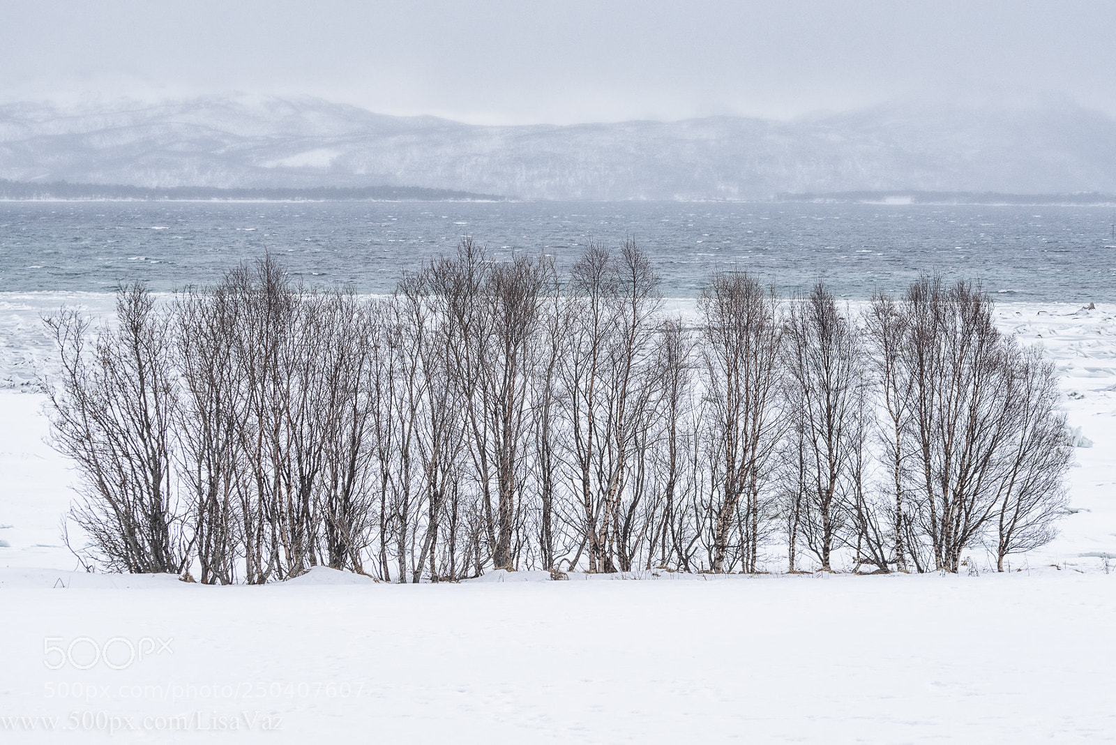 Sony a7R sample photo. Winterscape photography