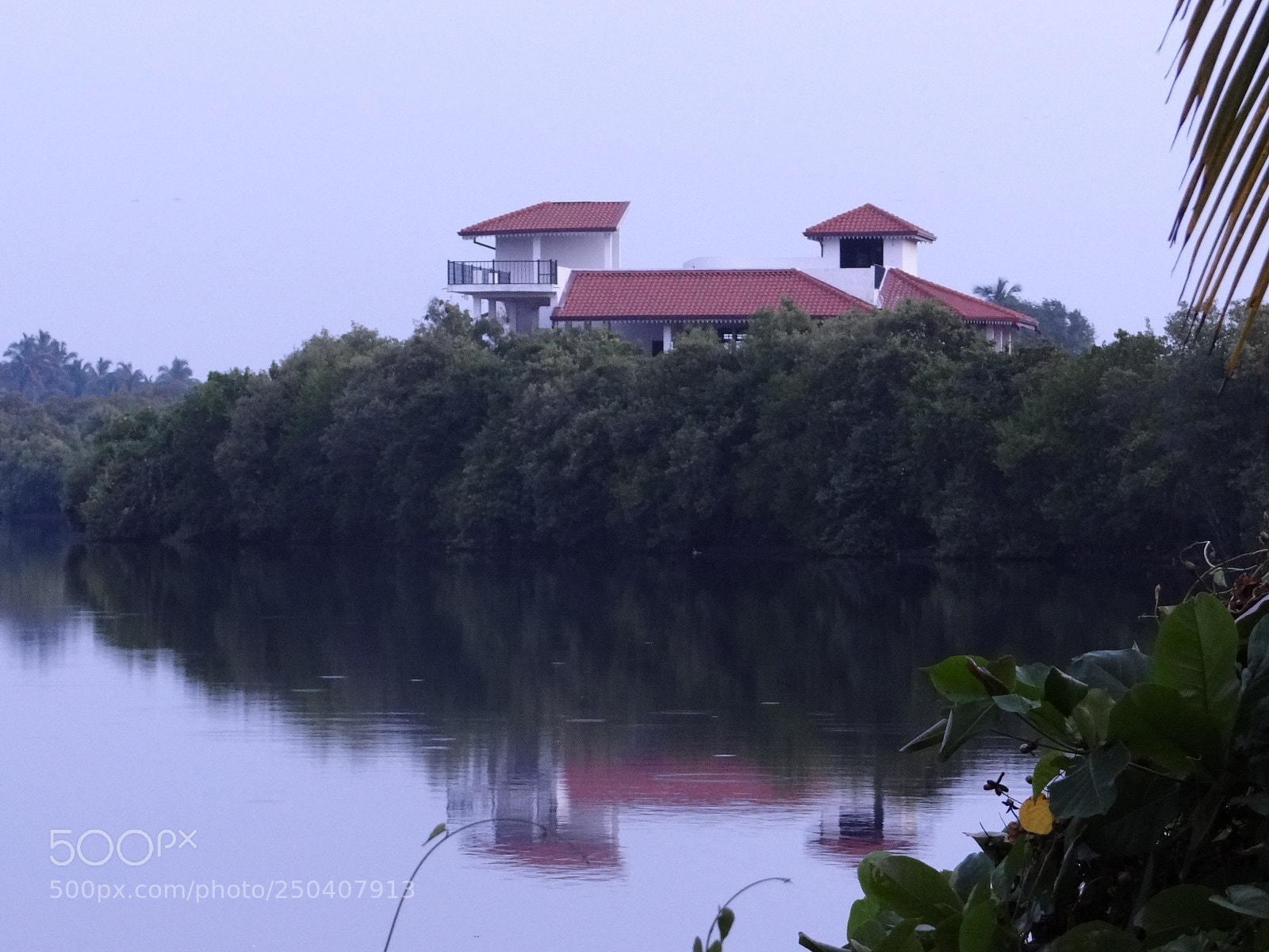 Sony Cyber-shot DSC-HX100V sample photo. Sri-lanka photography