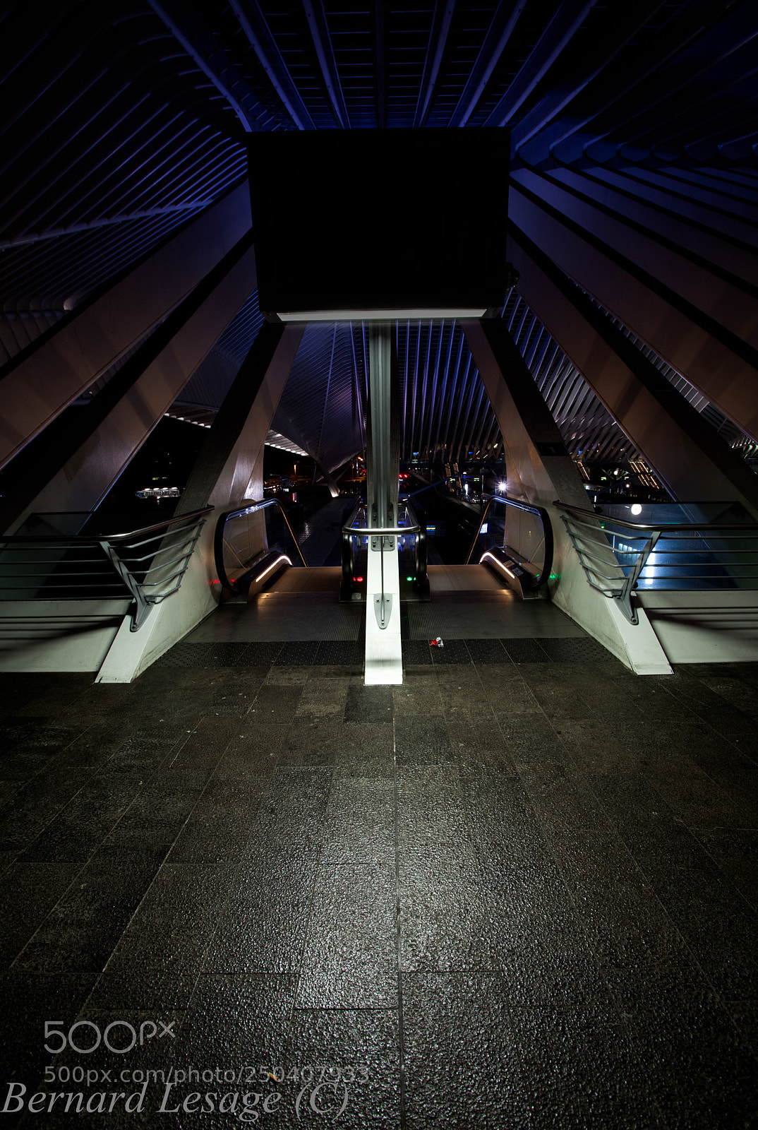 Canon EOS 5D Mark II sample photo. Liège guillemins photography