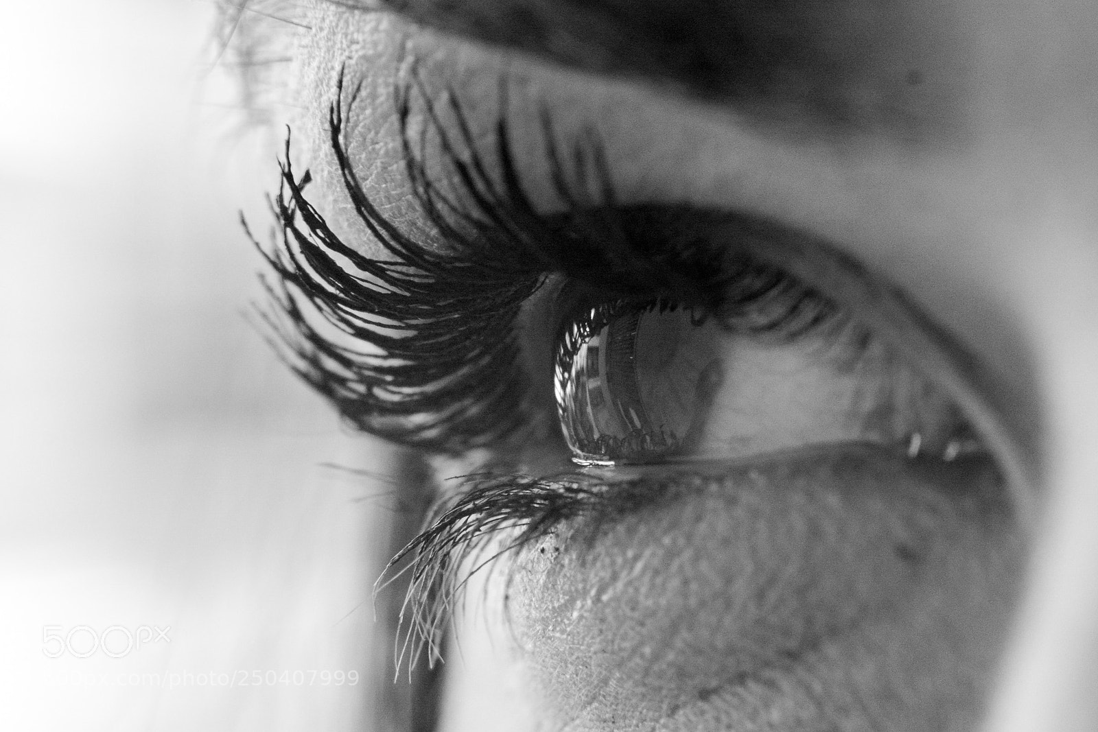 Nikon D7100 sample photo. Untitled photography