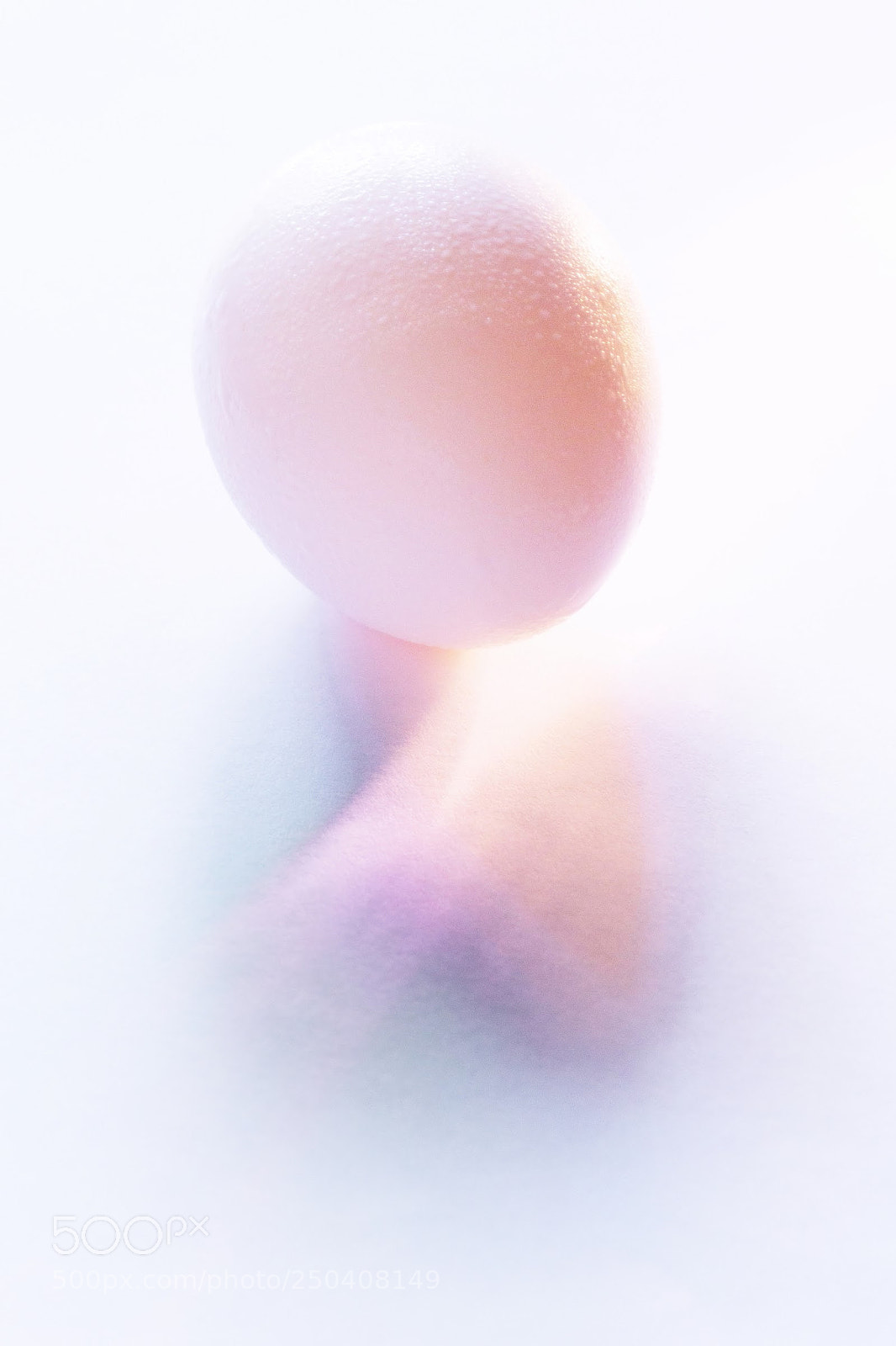 Canon EOS 60D sample photo. Egg photography