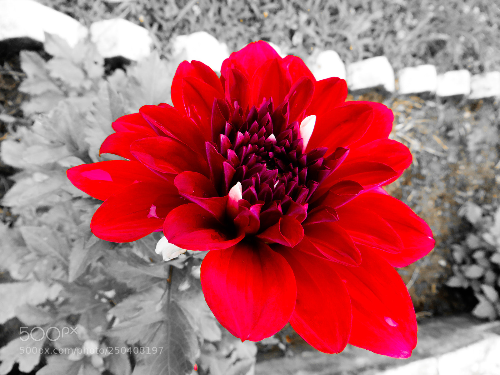 Canon PowerShot SX240 HS sample photo. Edited orange photography