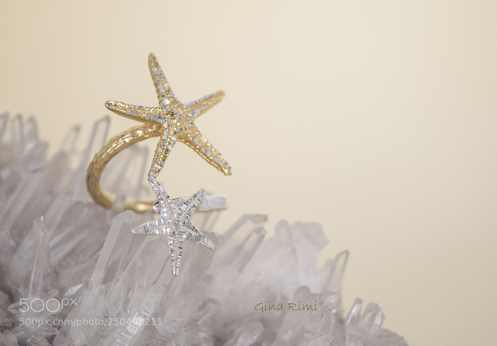 Nikon D3300 sample photo. Sea star ring photography