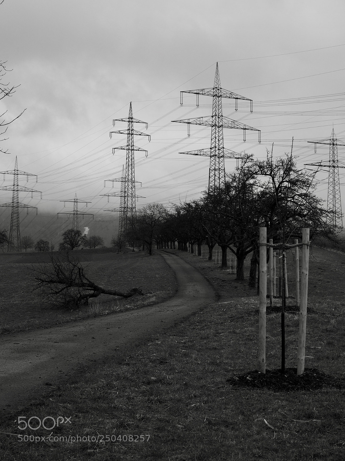Olympus OM-D E-M10 II sample photo. Country road photography