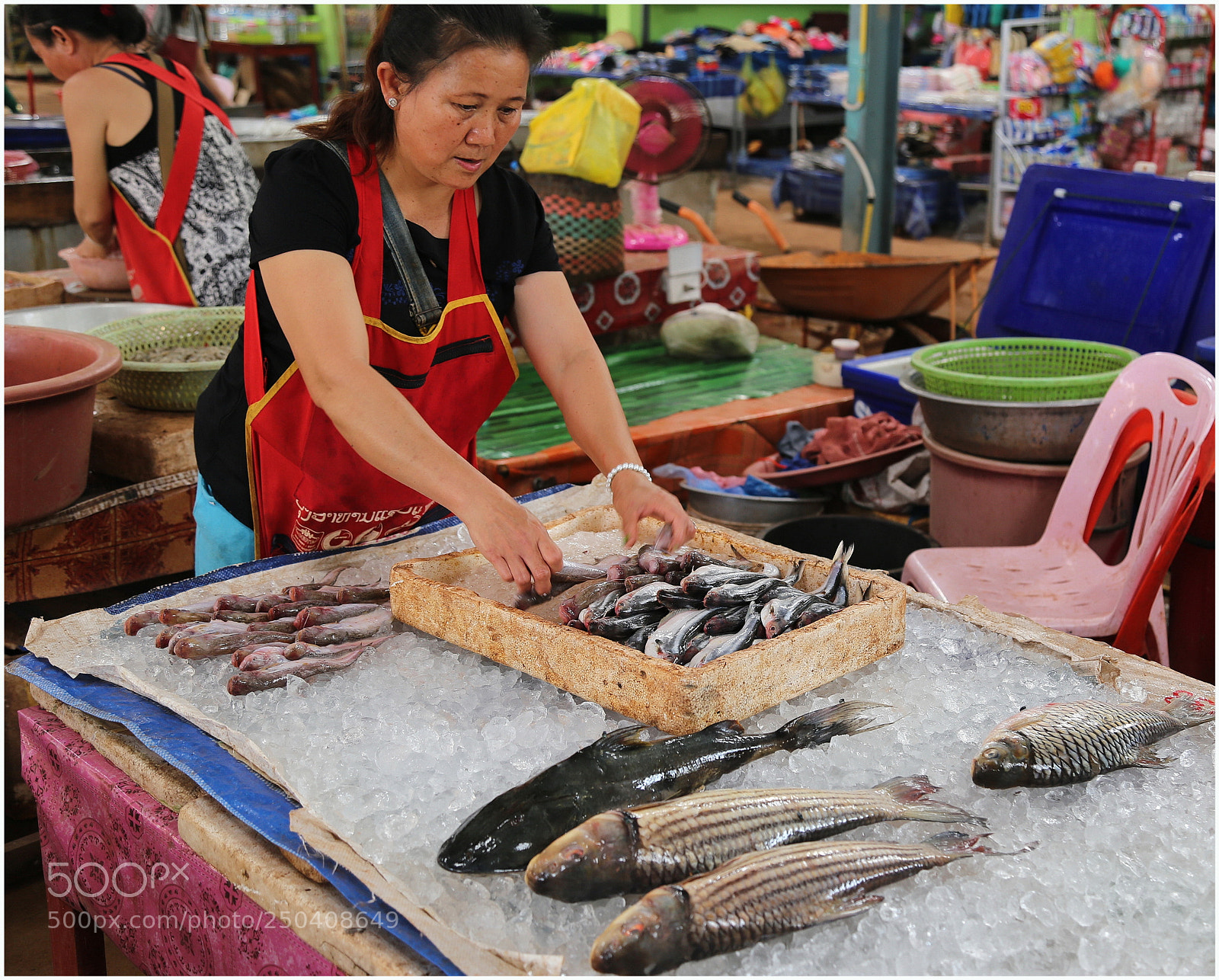 Canon EOS 6D + Canon EF 24-105mm F4L IS USM sample photo. Fisher lady at dong photography