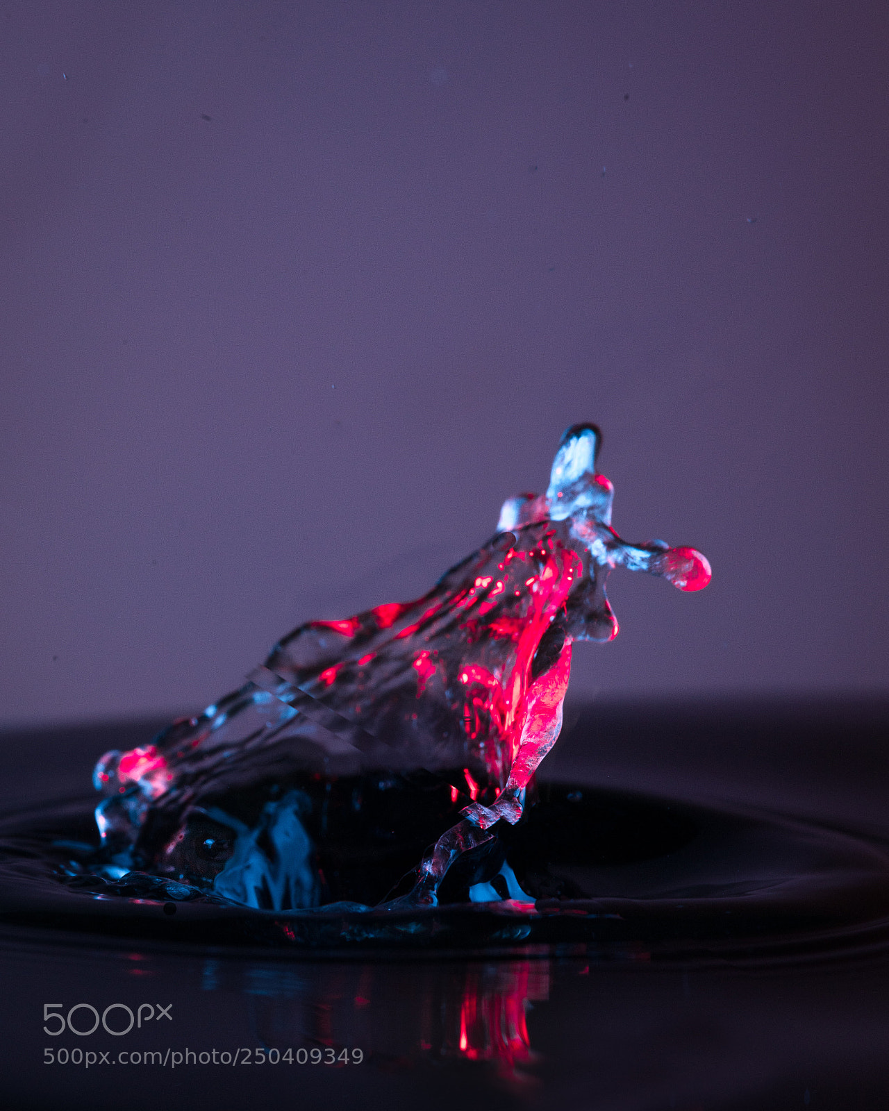 Canon EOS 5D Mark IV sample photo. Monster in red light photography