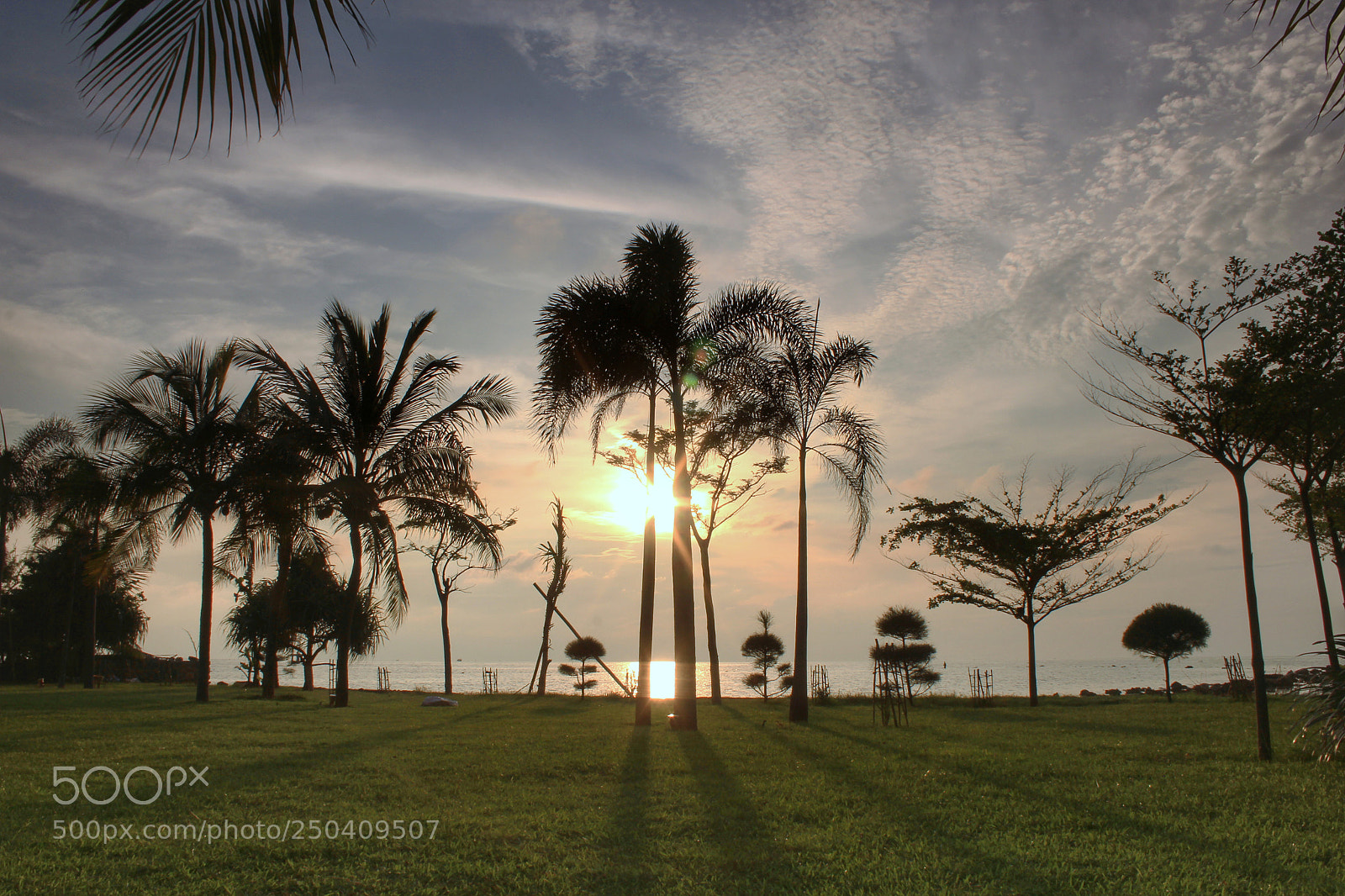 Canon EOS 60D sample photo. Silhouette with palm. jepara photography