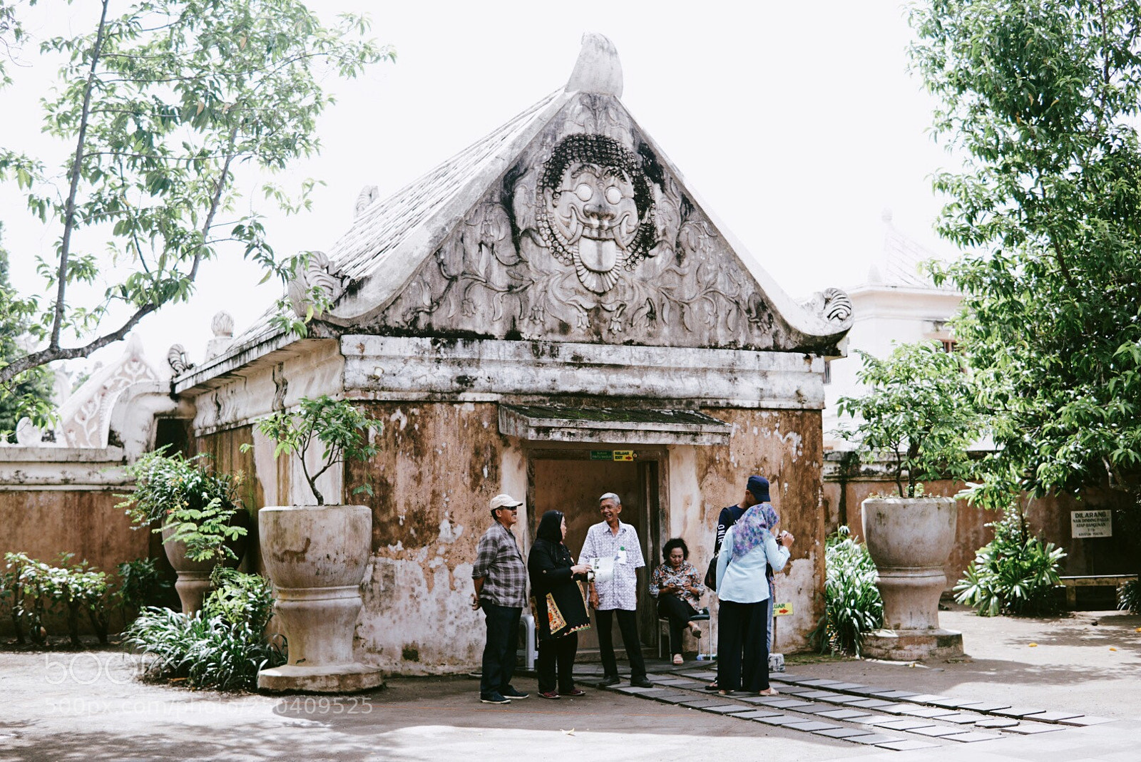 Sony a6000 sample photo. Untitled photography