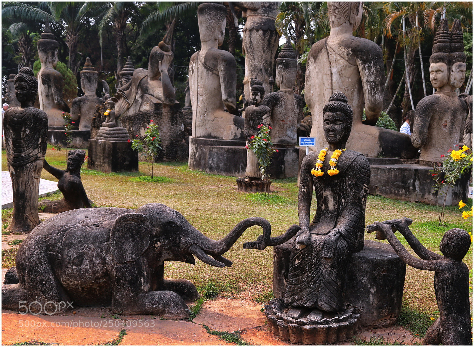 Canon EOS 6D + Canon EF 24-105mm F4L IS USM sample photo. Offering to buddah at photography