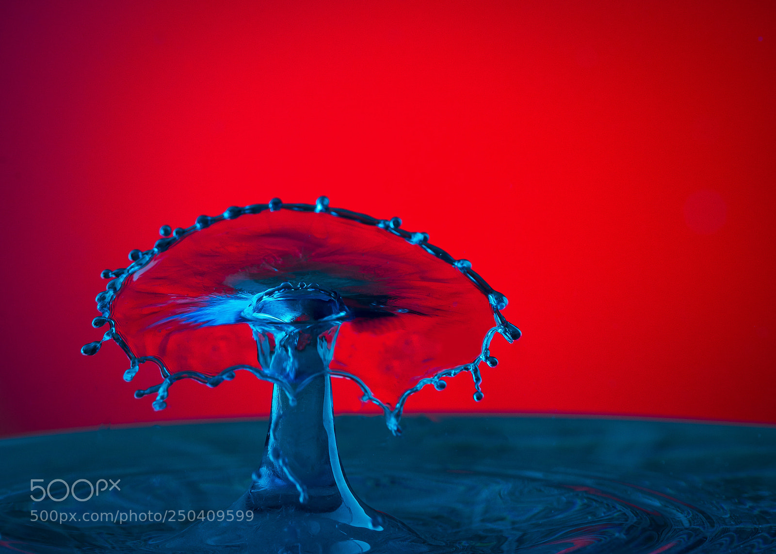 Canon EOS 5D Mark IV sample photo. Blue droplet in red photography