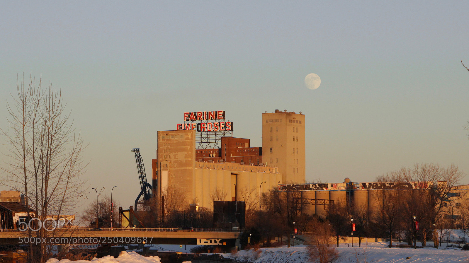Canon EOS 700D (EOS Rebel T5i / EOS Kiss X7i) sample photo. Farine five roses photography