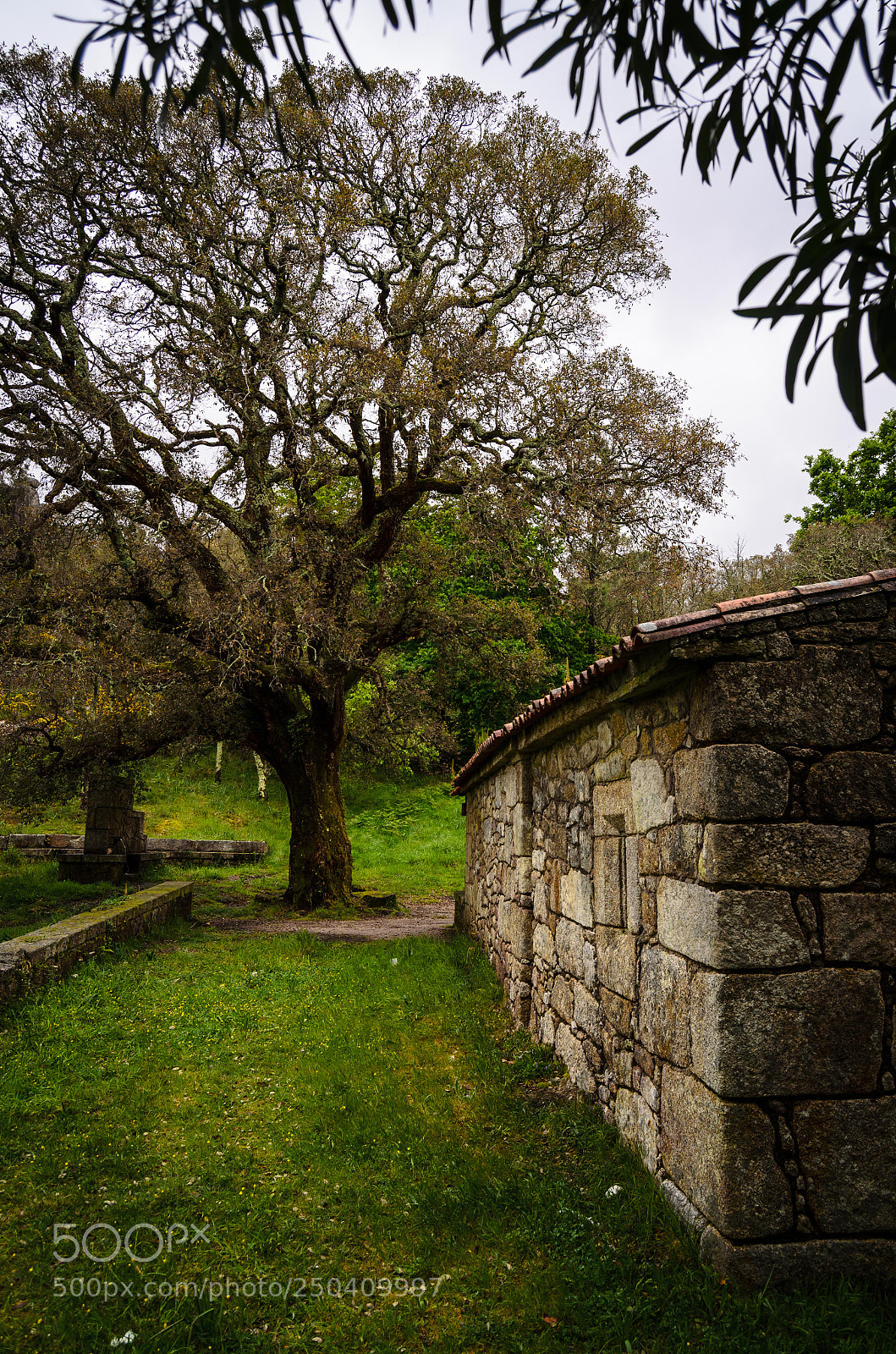 Nikon D5100 sample photo. Stone photography