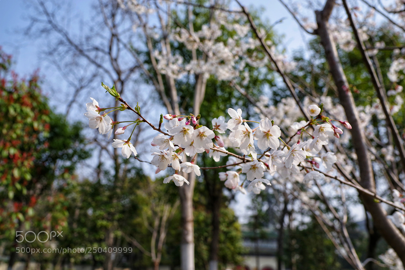 Pentax K-1 sample photo. Untitled photography