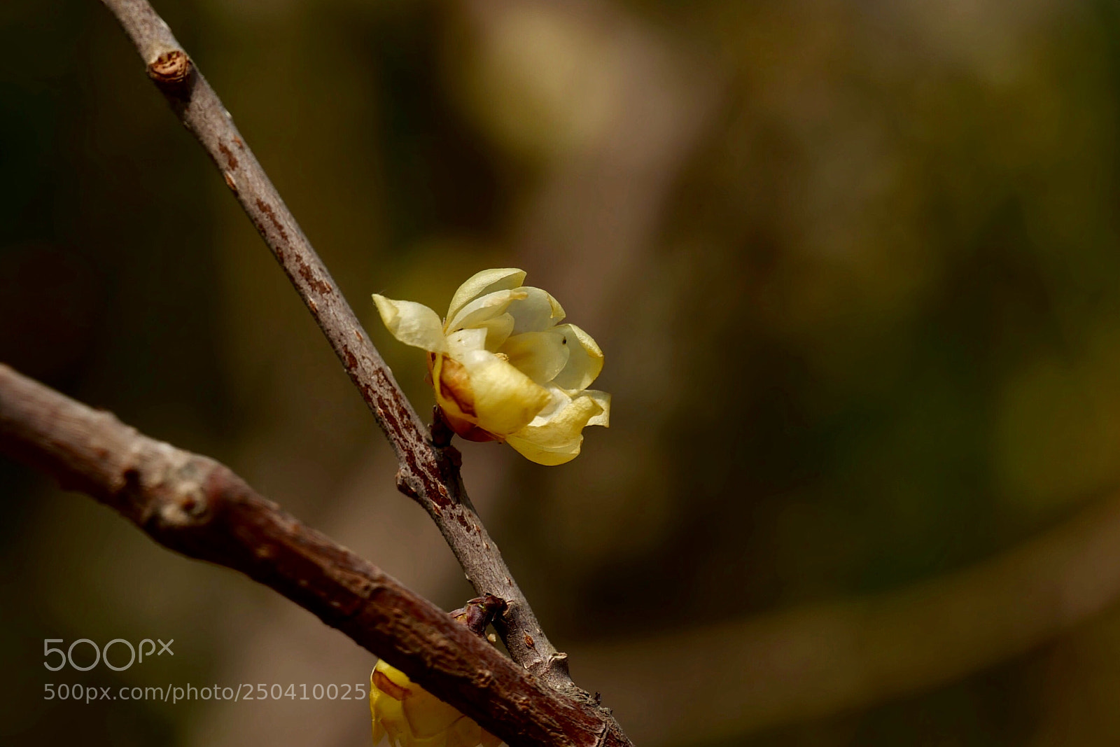 Leica SL (Typ 601) sample photo. Untitled photography