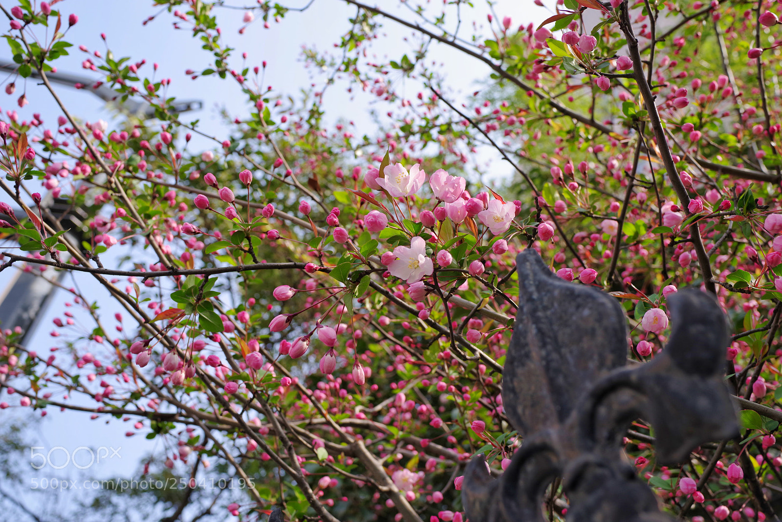 Pentax K-1 sample photo. Untitled photography