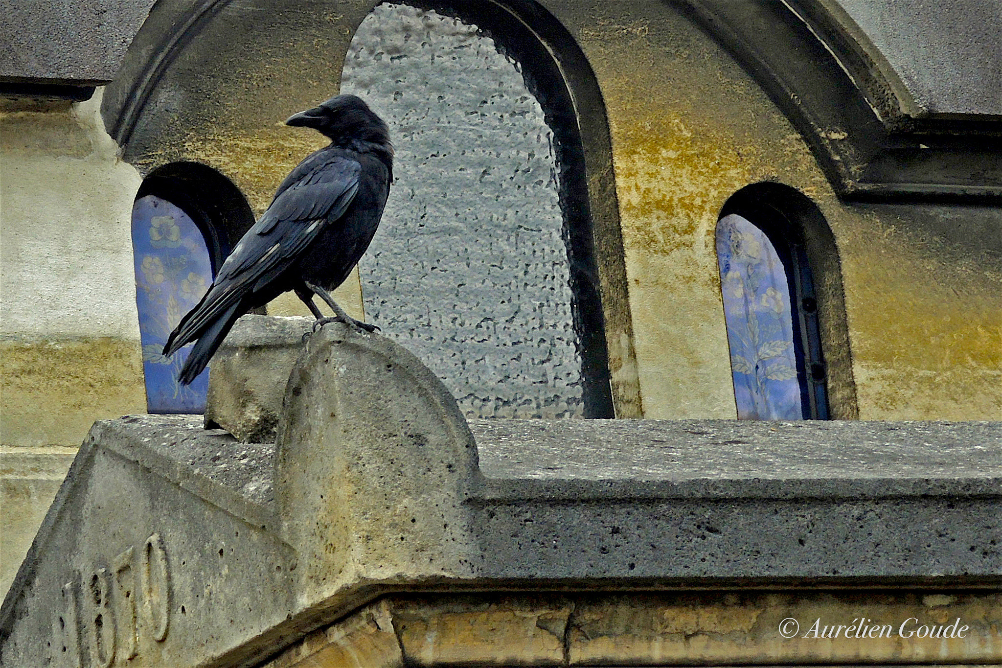 Nikon Coolpix P7700 sample photo. Le cimetière du père lachaise photography